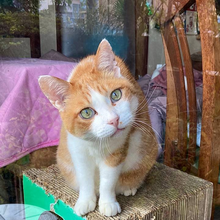 653caec2 6899 4f88 907d aaf8668dd727 1636270727599