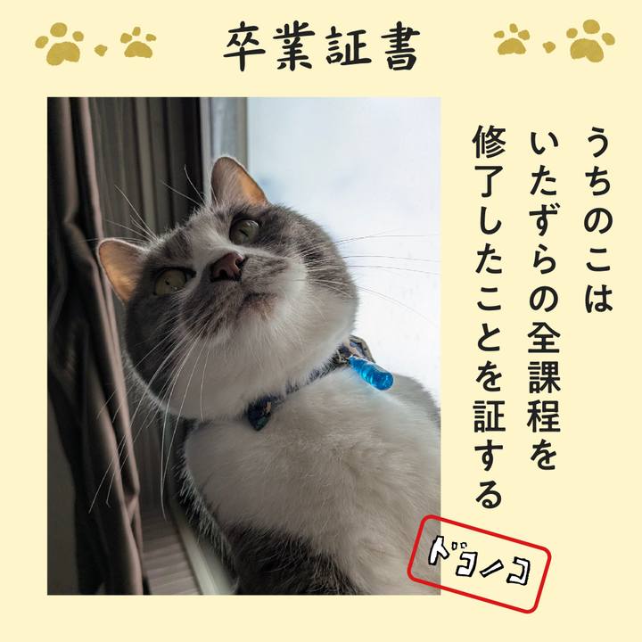 653cdc00 a9ad 410c 9458 597c8edef768 1771915725914