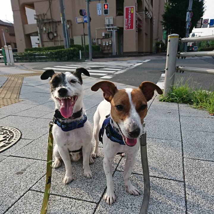 653cf554 d3a0 4673 acda 5ceee902df7f 1533159358284