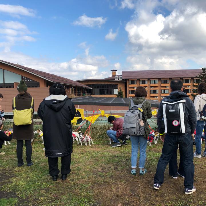 653cf721 2e72 4d5d 9654 1f833588a345 1542107204621