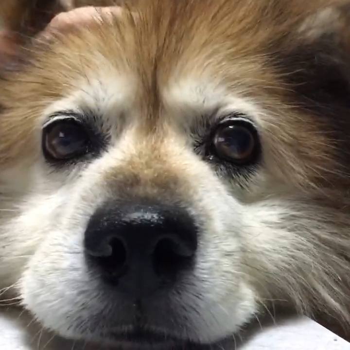 653d0cce 3545 417d 8949 e3d03c0a9b3c 1598691930031