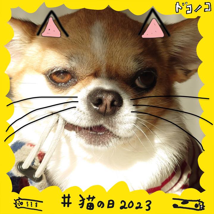 653d1915 7417 4900 92b7 06eb232c2a56 1677029799105