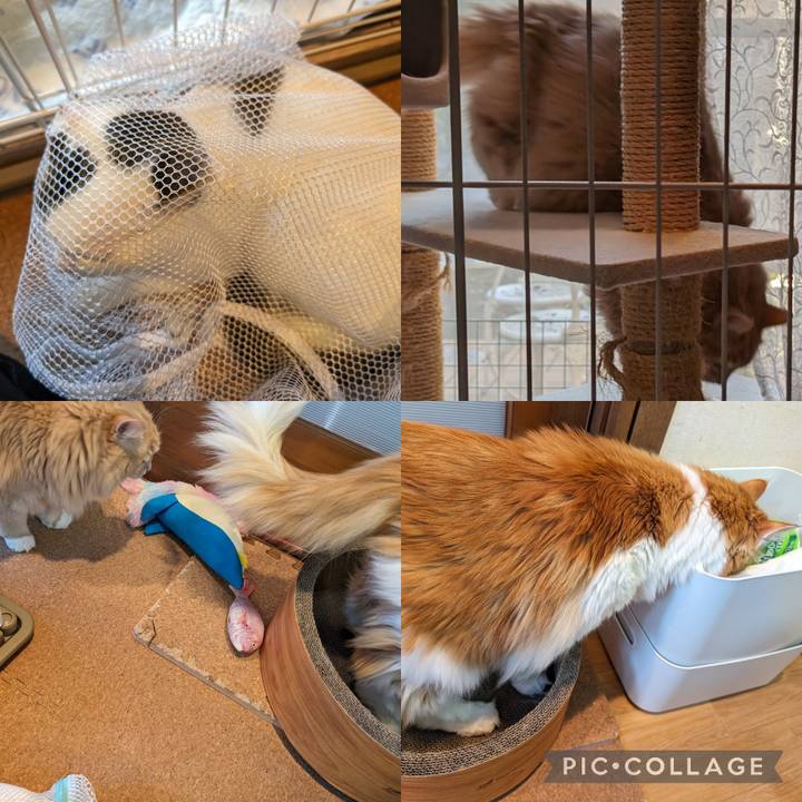 653d1c4d ff5d 48a4 9d07 dc18bed3c88c 1705240670505