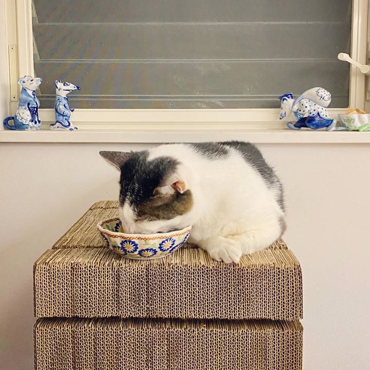 653d333c f537 4f63 a1ac cd366af86b75 1596807013552