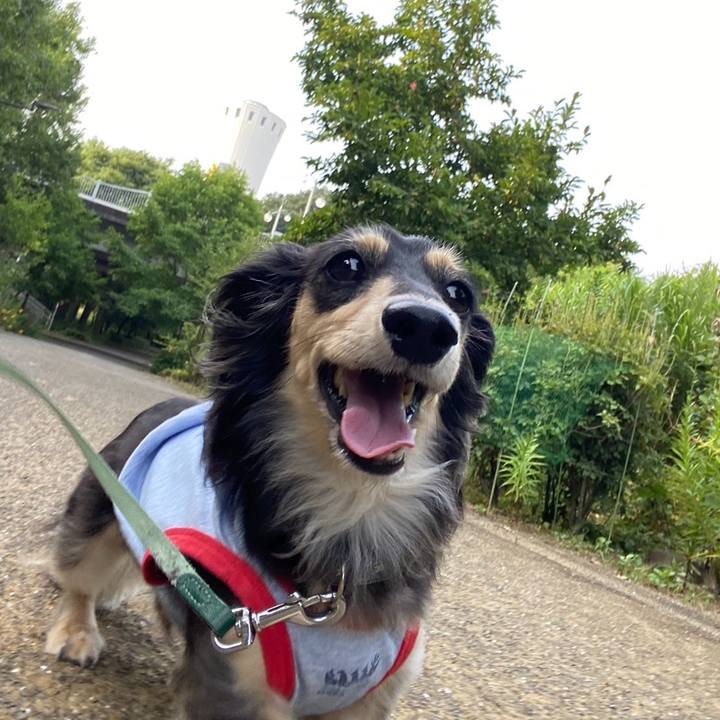 653d56b6 ef4d 4715 87f6 c1c7ad2e5a32 1755817672122