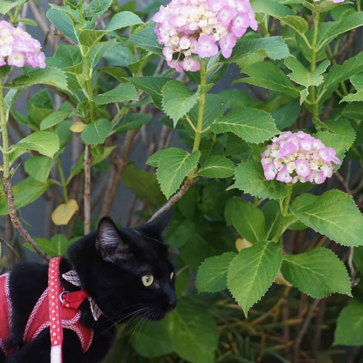 653debe9 5c4b 477c b0fd e5279a04fc87 1527424100897