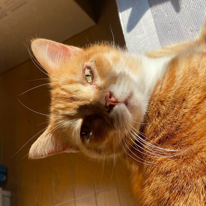 653df545 fb43 45f1 bca4 585ff0746299 1613928159750