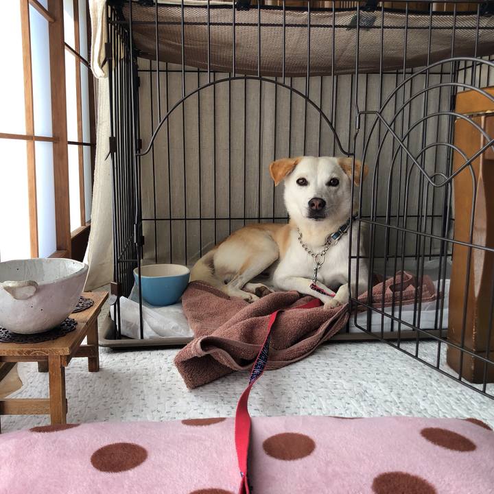 653dfa94 350c 43cc b3d6 0aac12538966 1623325903812