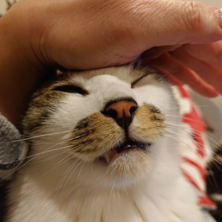 653dfc85 cd0b 476d 9b5a 188506a722e5 1680185785962