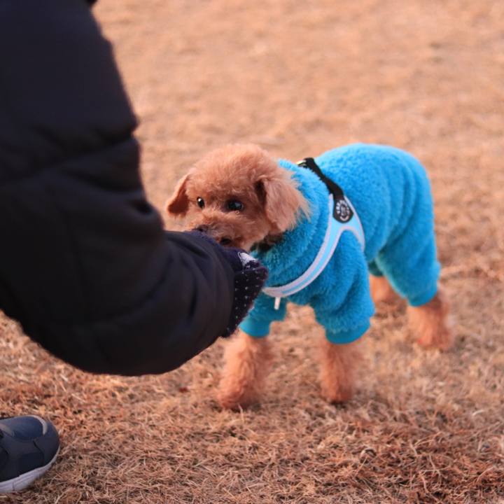 653e2d30 c99a 43ba 84b6 80717c82821e 1610119876055