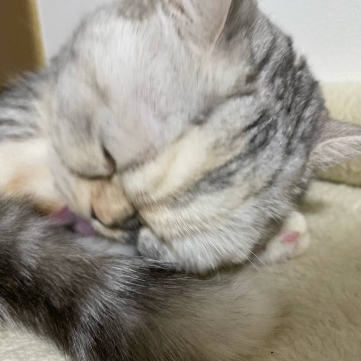 653e336e 83a8 4198 a475 f931e1eae76d 1764499947031