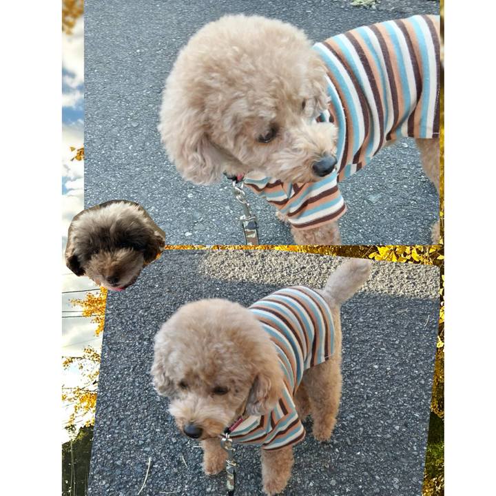 653e46f4 3f69 4a30 a74a 3093285b0f39 1764492290915