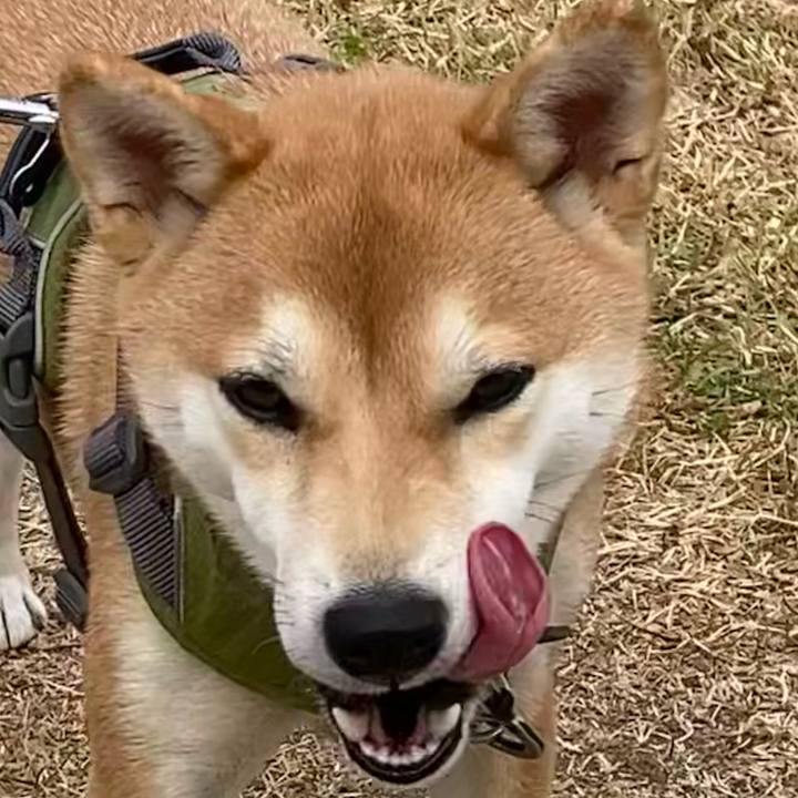 653e8712 2a1d 45a2 bf21 d583996b39fa 1639050486281