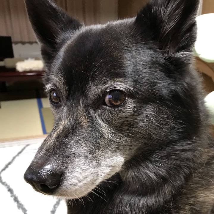 653e972b dce7 4cf6 9047 ea2860097c89 1580996957693