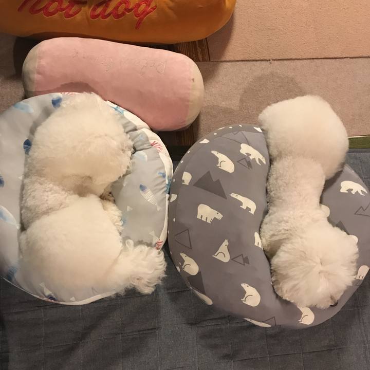 653ed1dc 9212 4ae2 af72 b6c70a428217 1564748190134