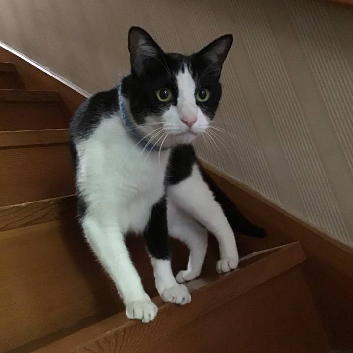 653eef13 1ef4 4050 b879 16bacf1e0147 1746954745849