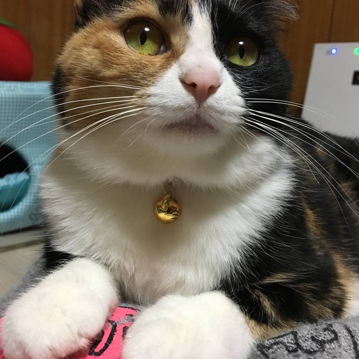 653ef4ef ef29 4f6d 8dc8 32b61e4fa9c2 1513253985141