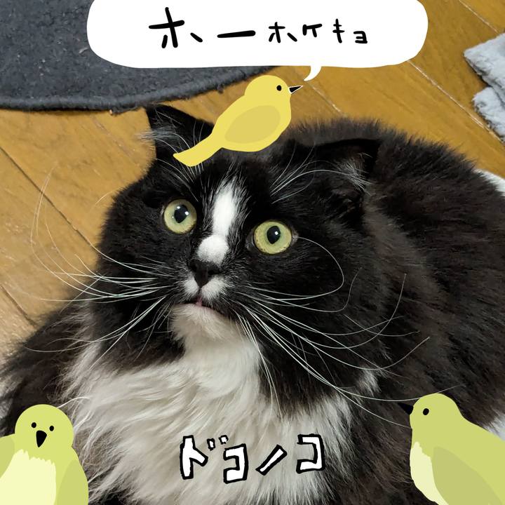 653f0d50 0d00 4004 96bc 0cf3fd6d0f36 1711014720619