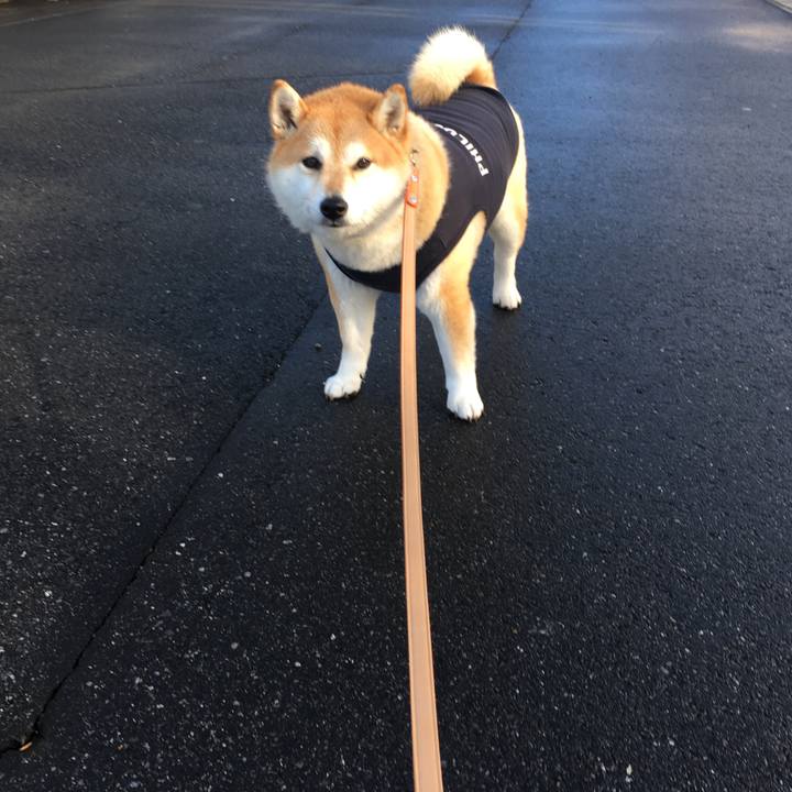 653f602f e538 471d a7ee 5a200ca1e40d 1577410082499