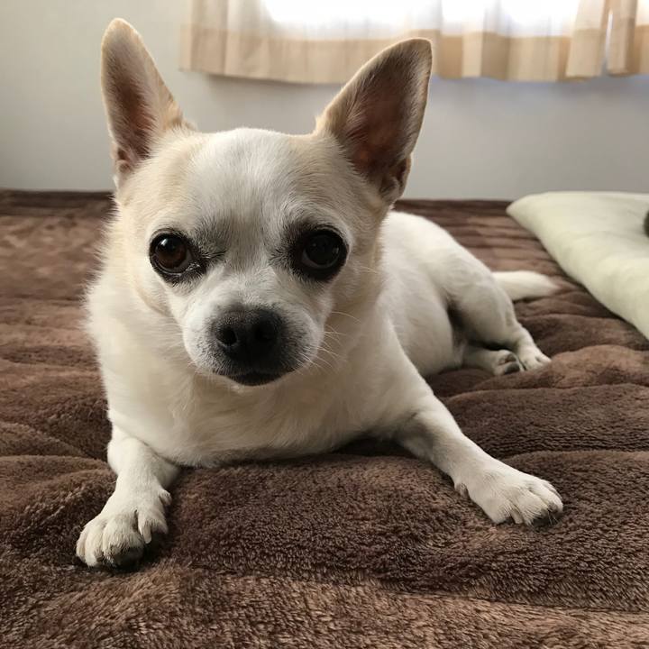 653f8a9c 3af7 4f56 ba51 de56d81f181d 1510667604040