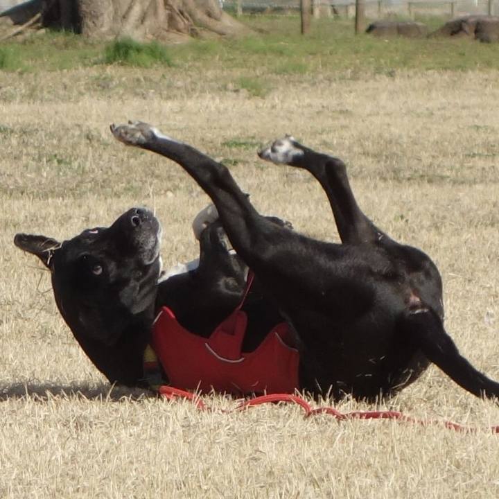 653fc792 7147 4a35 850d 480093b2e7fc 1678495783281