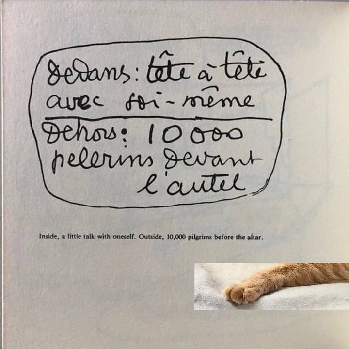 653fd1c5 2331 4d19 b393 9b6d86dbbb8b 1600304429469