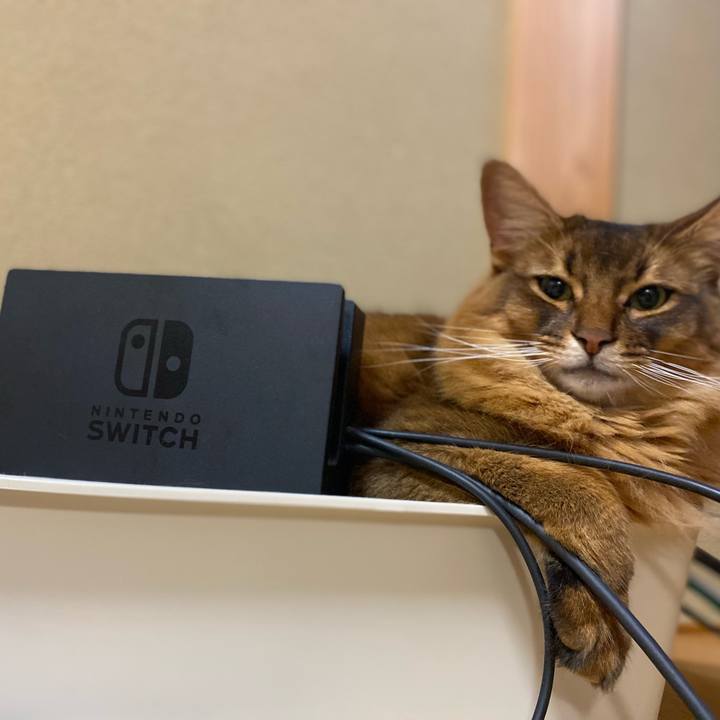 653fdc3f 91e6 41ff 917b 2b7d320ea412 1656936129740