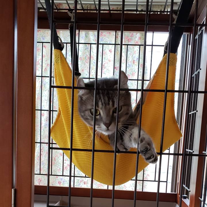 653fe373 5e41 4741 bccd 90519cd2149e 1633844843752