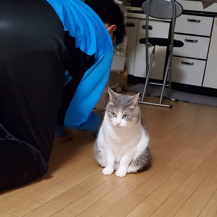 653feace c570 46da bcb0 46709ed6ef8d 1694083829508