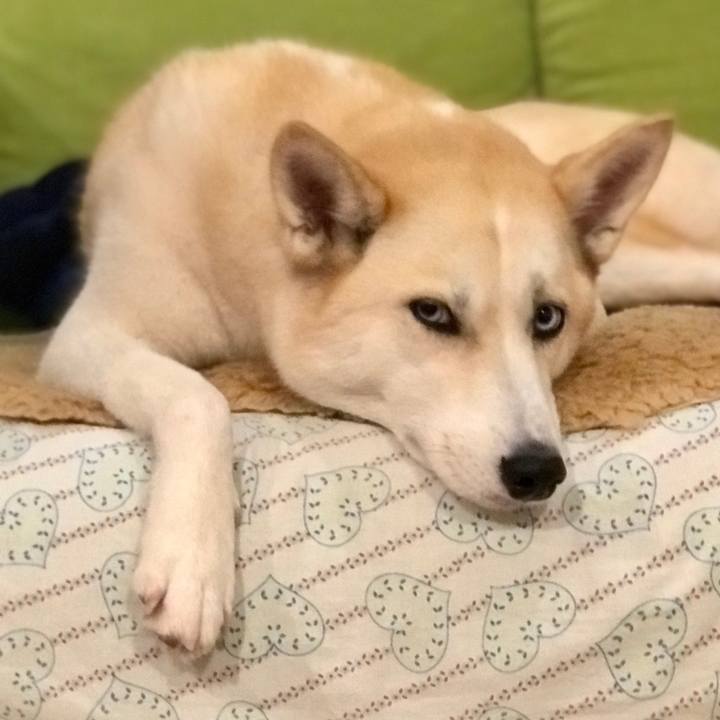 653ff7c1 1779 430c 8409 a0d69dddf43c 1515500997269