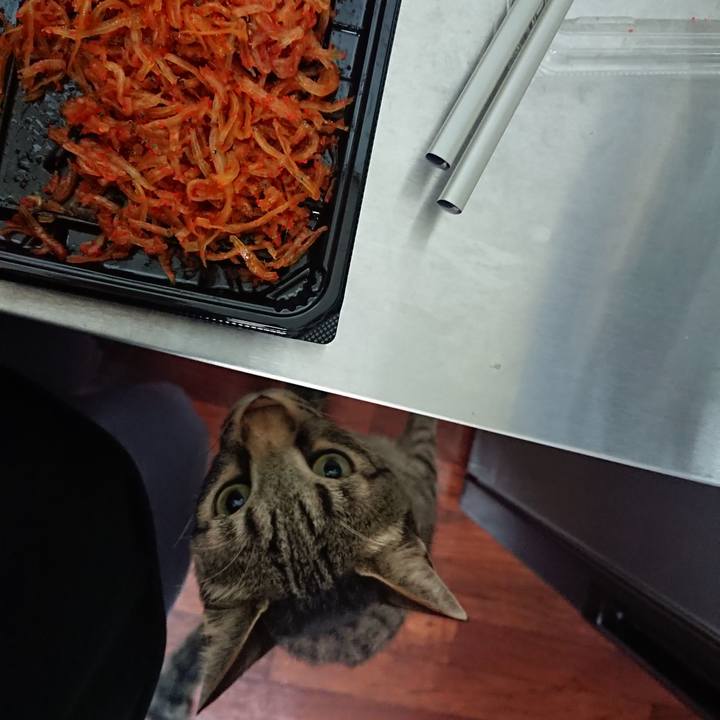 65400c0e 69e3 4161 aee8 171edf455196 1532613910654