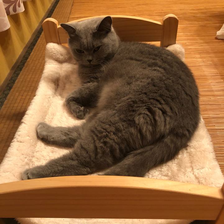 65403652 4f20 4235 b143 6f2ac88f390d 1559735240949