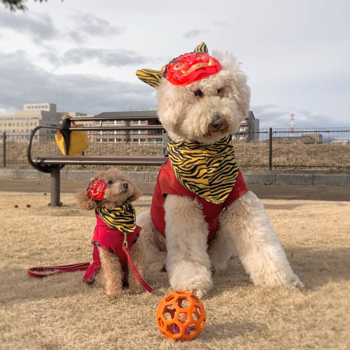 65409b84 1a6a 4810 a94b ca18d35fc053 1770074718382