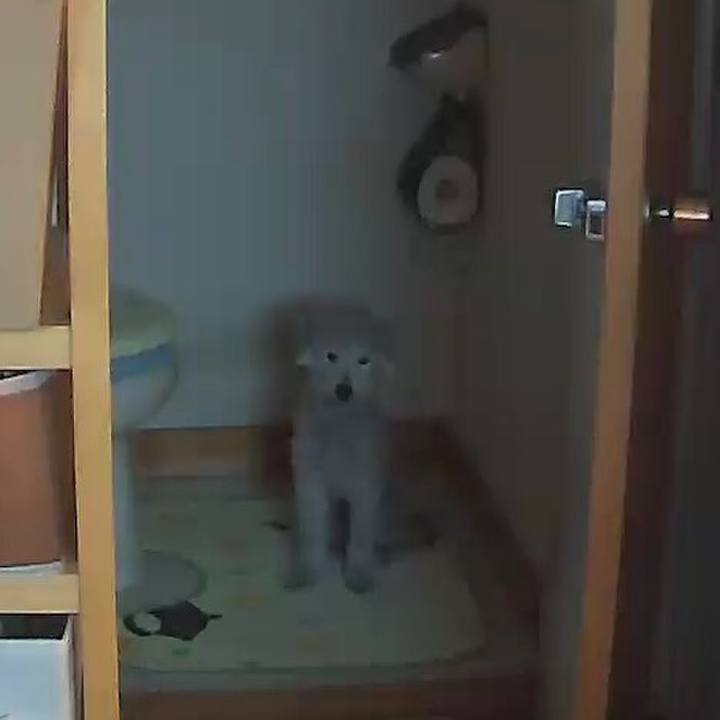 6540e5f8 9696 4e69 a256 a7a15dfd5db8 1592818769683