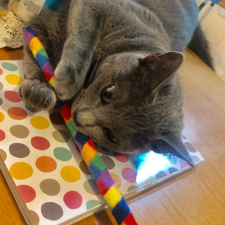 65410755 6da5 4901 a521 88f90baffdf0 1567313528042