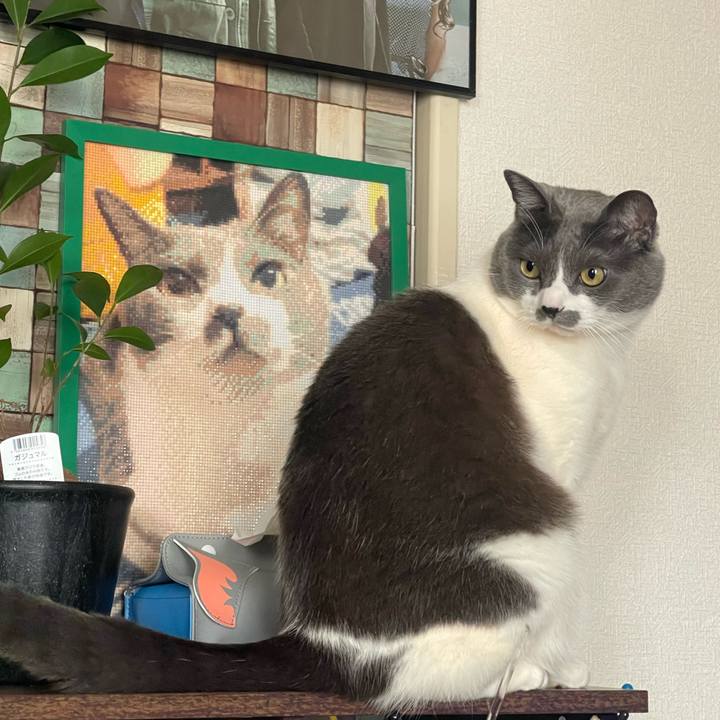 654109ac c85c 4919 93b4 6eff45585043 1738912757261