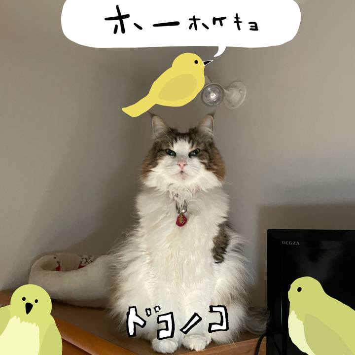 6541633e 5dde 4d8e b54e 894b2de405f3 1711024349491