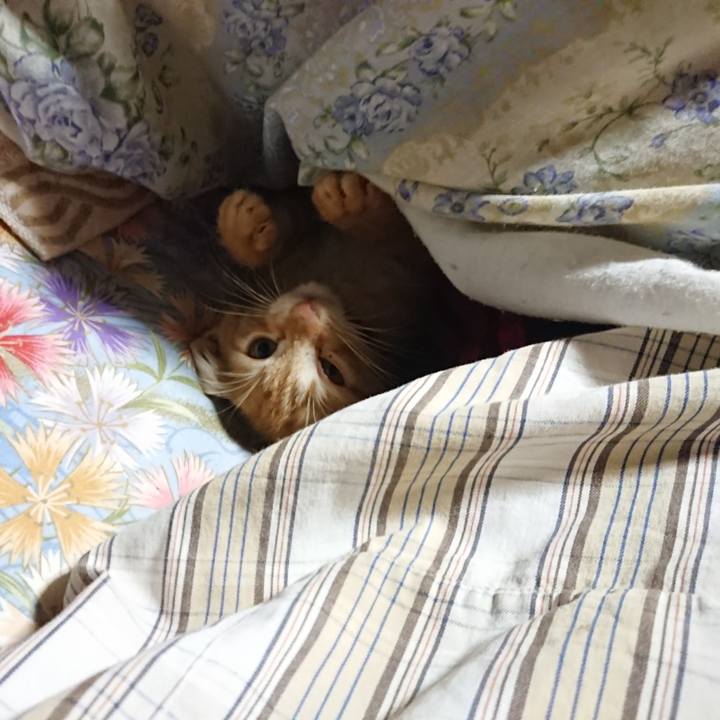 65416821 23eb 4729 91c8 f97eb5fc263f 1628886062458