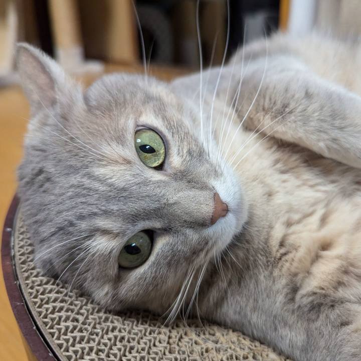 65417d4e 9a23 457b 9b5c 2bd3b28c901d 1730705677363