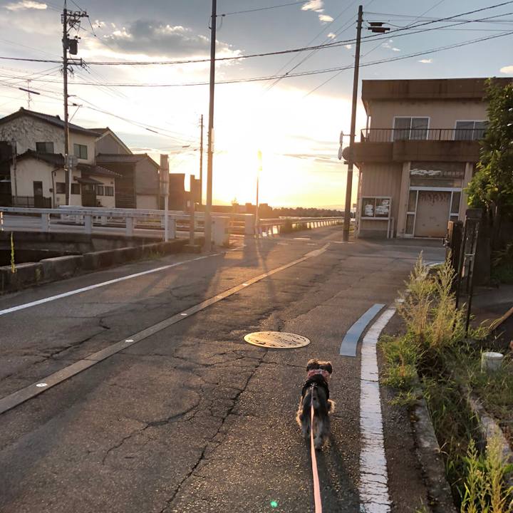 6541a84c 09fc 4934 bb43 56327e99ee91 1692799658811