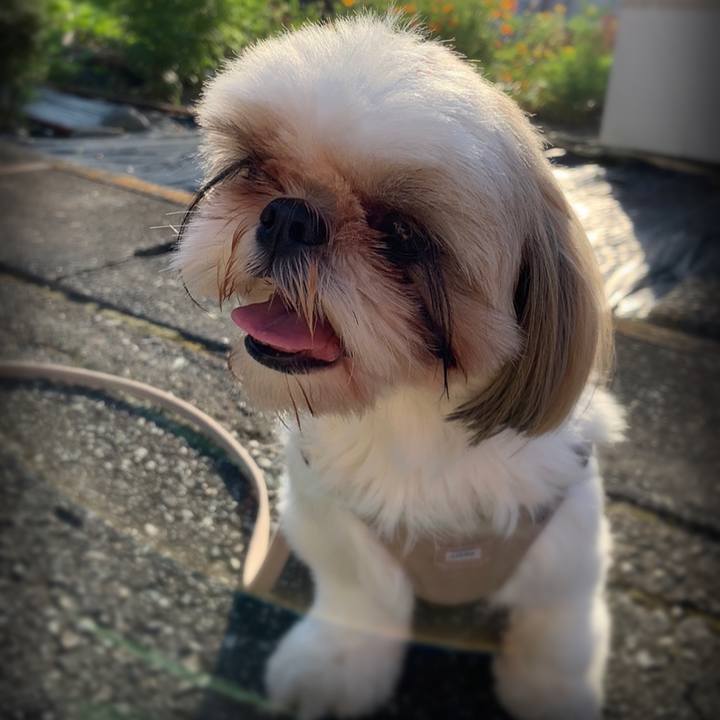 654212f5 9d47 4996 8ea0 556cdf930e00 1597272276860