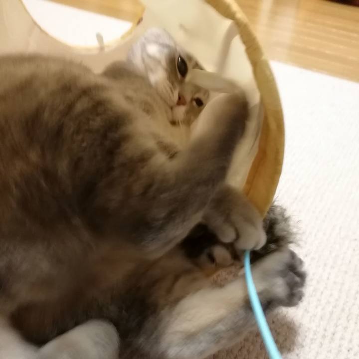 65422d07 46be 4cf8 b721 5e996e7a18be 1551358419322