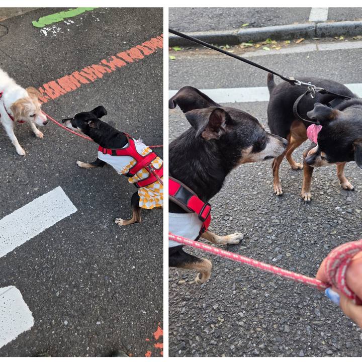 65424cc4 1829 4516 93f0 f4d4ba9b138f 1751921028610