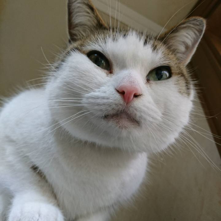 654275ed 8fce 49e3 8844 b4de41b22ff3 1522794281016