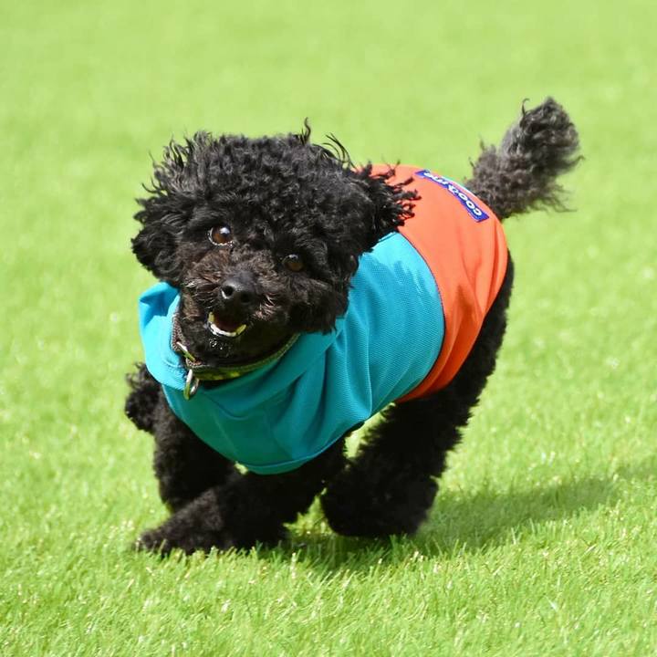 6542c2a6 5a3f 492e a8b7 60af2511743a 1584976160495