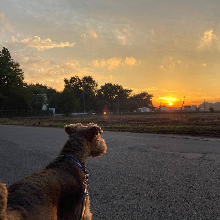 6542eaa3 b88d 483e 8d46 b4f2b3c1d94e 1604658182218