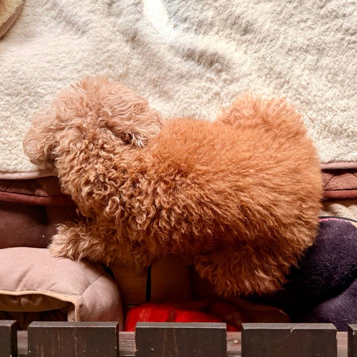 6543251a 1672 4976 9af1 9e9f149d9c06 1763534902808