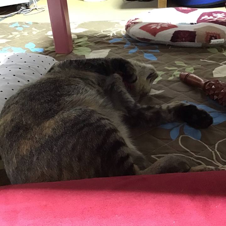 65432867 b754 4203 8294 655d3dd31a3f 1601013187071