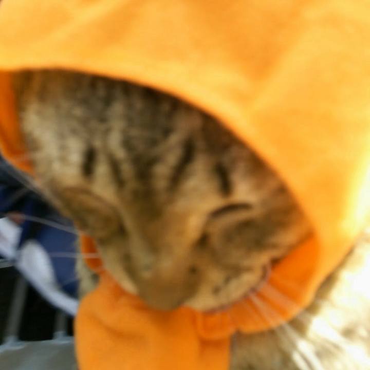 65433498 4617 4cae 93fa ef7b6893f3b8 1522560514479