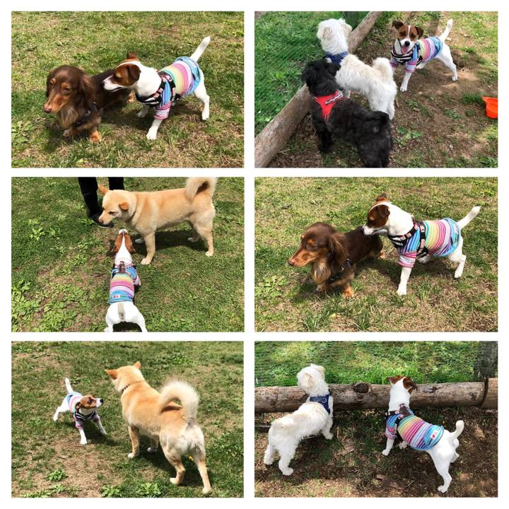 654346b0 8750 4992 96ee 3fe5b3001943 1527331254429